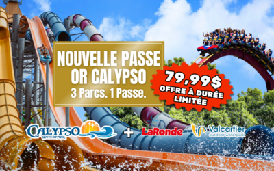 NOUVELLE Passe Or Calypso